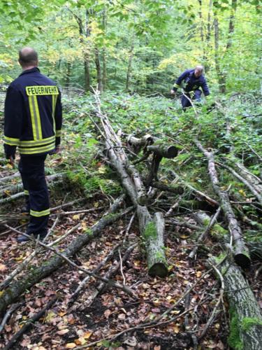 Rettungshundestaffel MKK